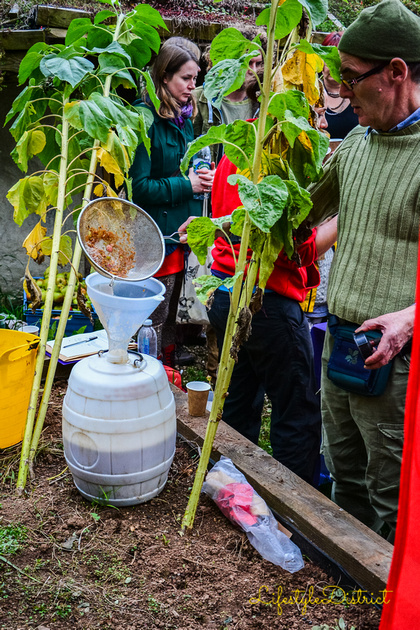 Apples getting pressed during apple day at the Boiling Wells Orchard