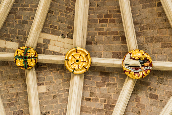 Exeter Cathedral-6