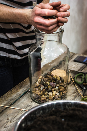 London Terrariums