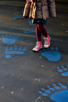 bear footsteps