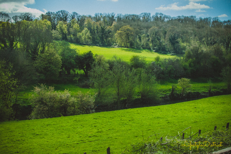 View from the train on the way to Bradford on Avon. Virginia Allwood. Le Shop Photography