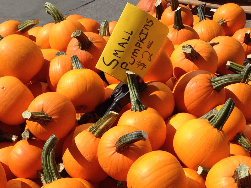 Lovely small pumpkins on a stall at Brooklyn Borough Hall Greenmarket in Brooklyn, NY (New York)